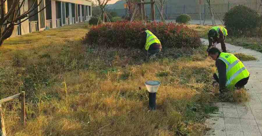 昆山工廠綠化養(yǎng)護 工廠綠化養(yǎng)護(圖1)