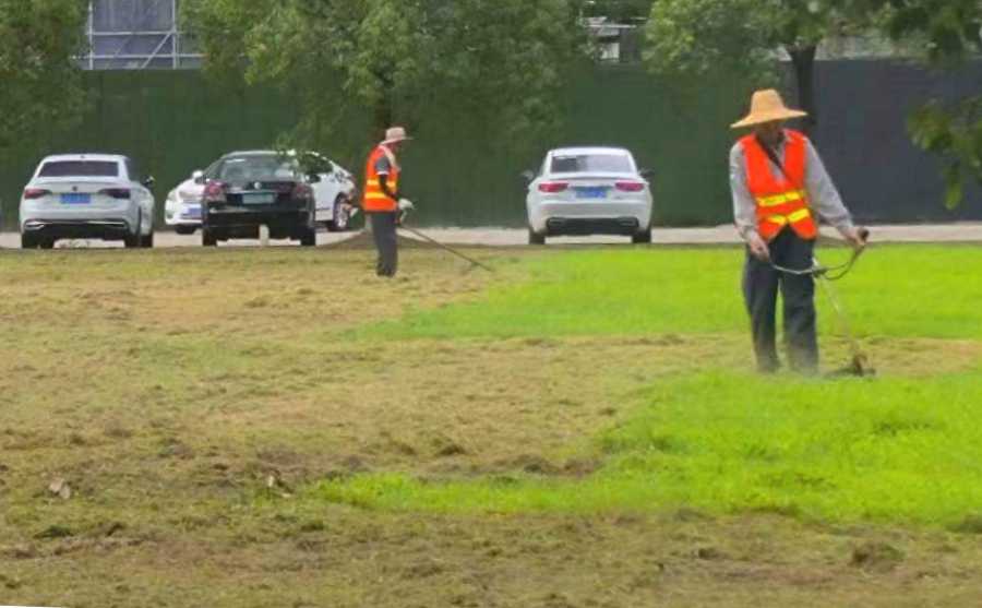 昆山廠區(qū)綠化養(yǎng)護(hù) 廠區(qū)綠化養(yǎng)護(hù)(圖1)