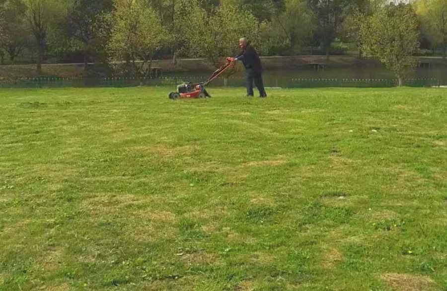 昆山綠化維保 綠化養(yǎng)護(hù)(圖5)