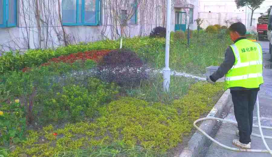 昆山工廠綠化維保 工廠綠化養(yǎng)護(圖3)