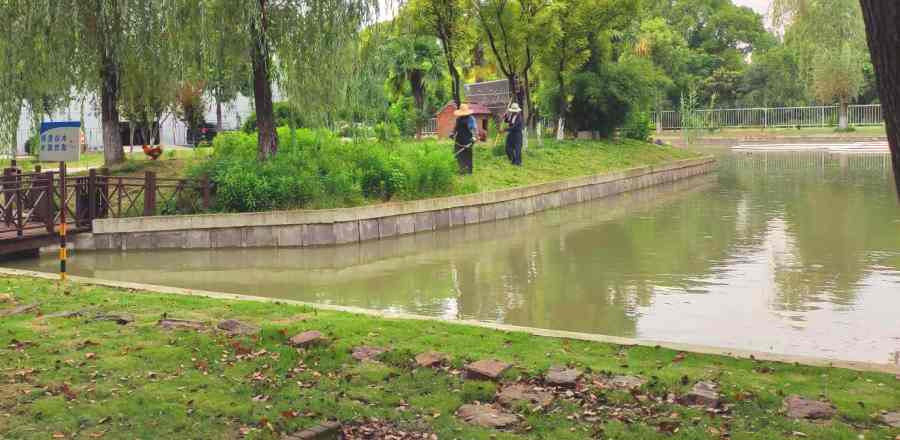 昆山綠化養(yǎng)護(hù) 綠化養(yǎng)護(hù)(圖1)