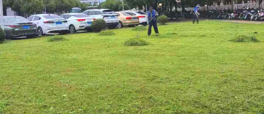 昆山綠地養(yǎng)護(hù) 綠化養(yǎng)護(hù)(圖2)