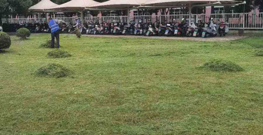 昆山開發(fā)區(qū)綠化養(yǎng)護 企事業(yè)單位綠化養(yǎng)護(圖2)