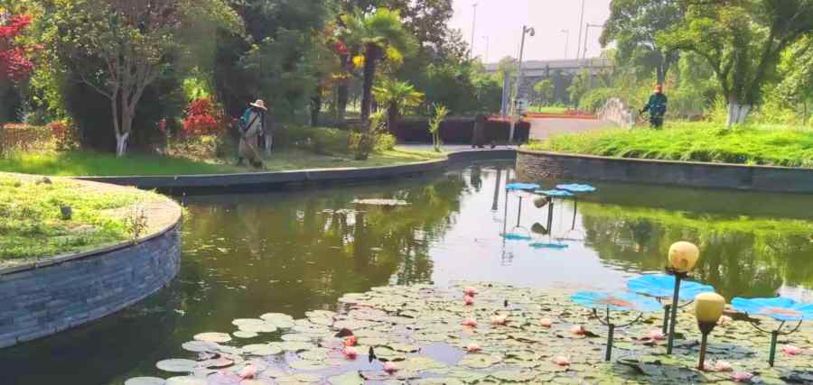 昆山綠化維護(hù) 綠化養(yǎng)護(hù)(圖4)