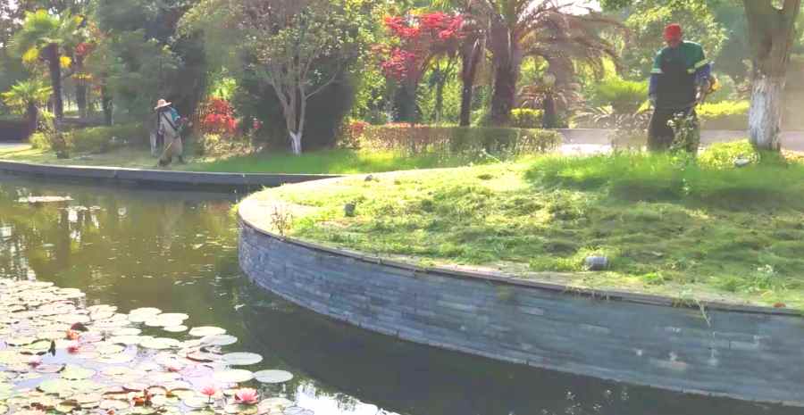 昆山住宅區(qū)綠化養(yǎng)護 小區(qū)/住宅社區(qū)綠化養(yǎng)護(圖3)