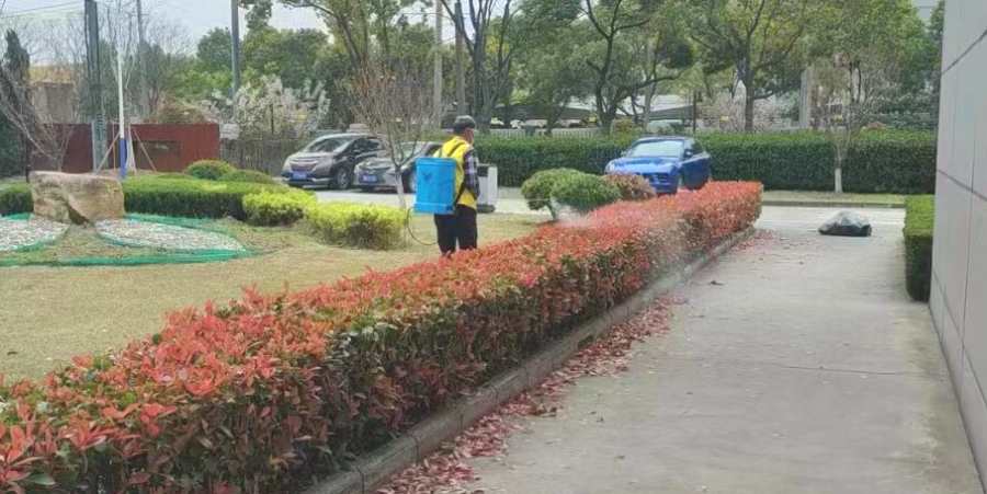 昆山開發(fā)商綠化養(yǎng)護(hù) 物業(yè)/開發(fā)商綠地養(yǎng)護(hù)(圖2)