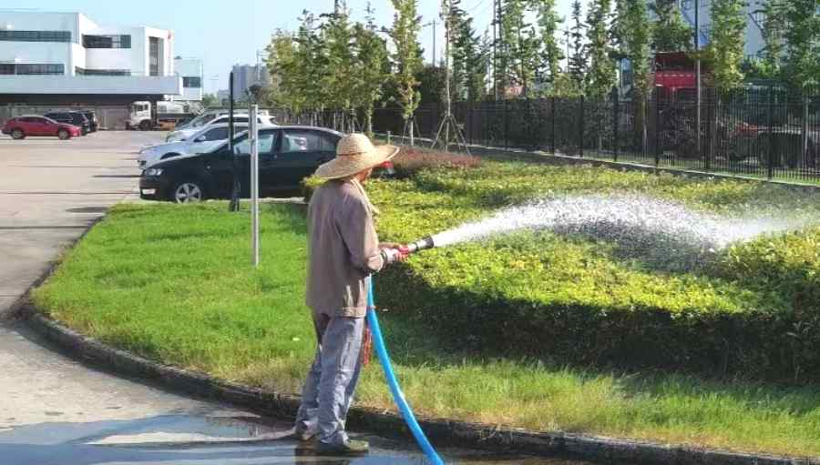 昆山園林綠化養(yǎng)護(hù) 綠化養(yǎng)護(hù)(圖3)