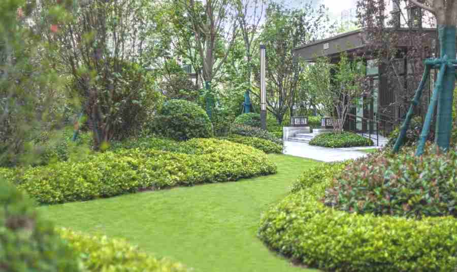 昆山學(xué)校綠地養(yǎng)護(hù) 學(xué)校/醫(yī)院綠地養(yǎng)護(hù)(圖3)