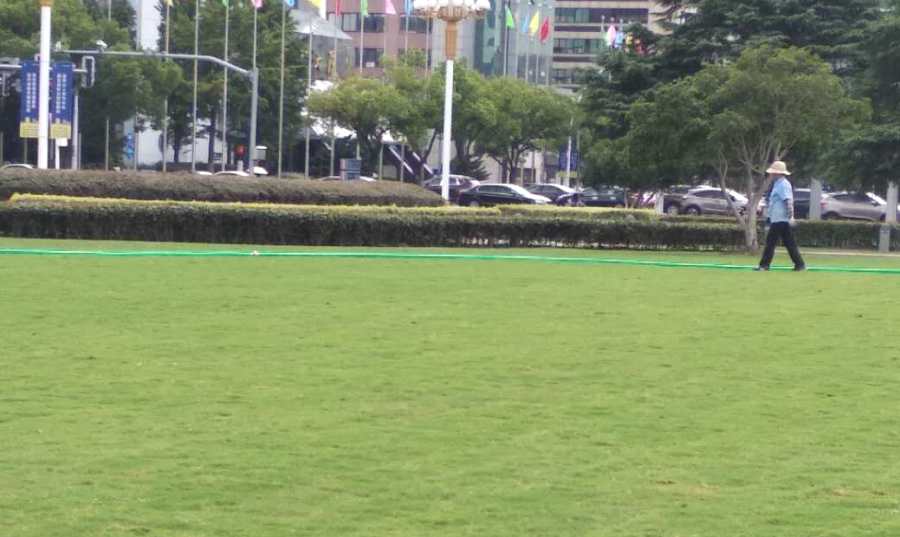 昆山醫(yī)院綠化養(yǎng)護(hù) 學(xué)校/醫(yī)院綠地養(yǎng)護(hù)(圖2)