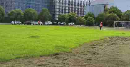 探秘昆山綠化養(yǎng)護公司的成功之道