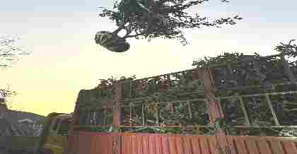 解讀昆山園林綠化公司應對反季節(jié)種植