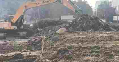 根據(jù)昆山綠化種植土壤特性分析的綠化種植注