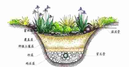 解析“昆山海綿綠化”的植物搭配妙方