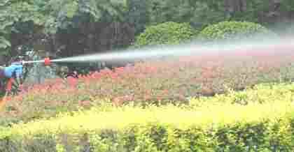 解析昆山園林綠化公司的綠化養(yǎng)護計劃方案