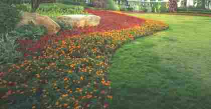 昆山園林綠化公司的全方位發(fā)展：設計、種植與養(yǎng)護