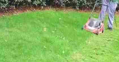 昆山綠化養(yǎng)護的技術要點與創(chuàng)新實踐