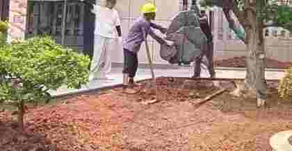 昆山綠化工程：創(chuàng)新驅(qū)動的綠色發(fā)展之路