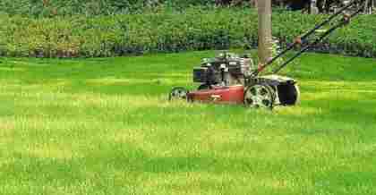 昆山綠地養(yǎng)護：園林綠化公司的精細與創(chuàng)新之路