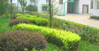 昆山綠化工程竣工驗收備案：流程、要點與意義